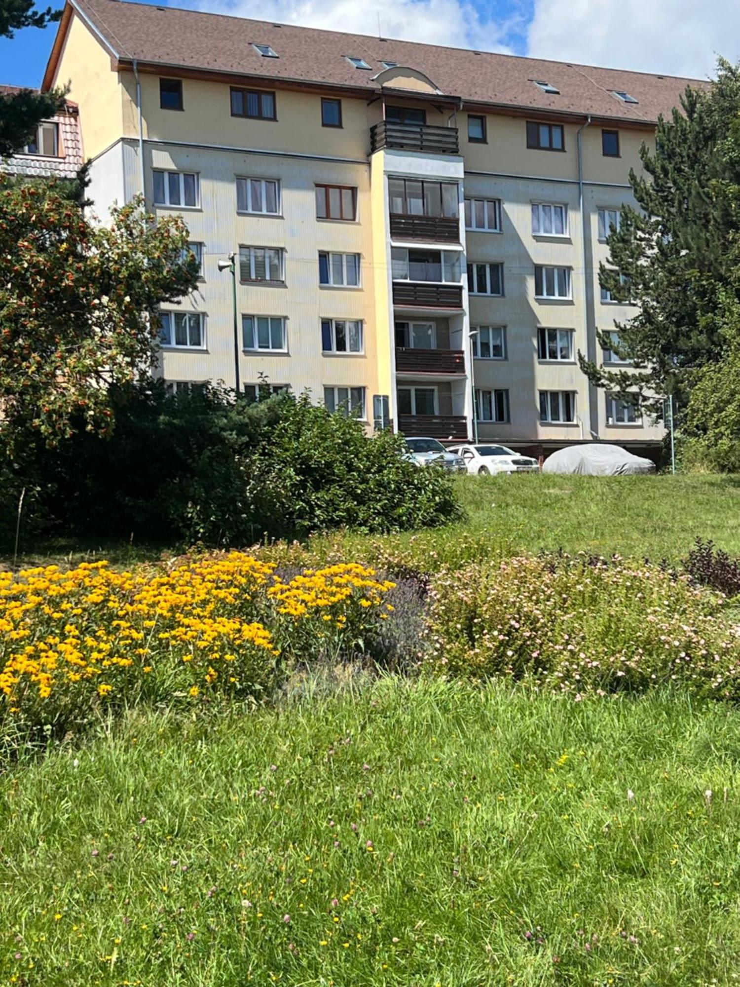 Apartment Tatranska Strba Buitenkant foto